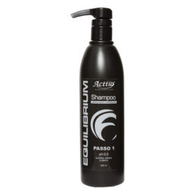 Shampoo Equilibrium 500 ml
