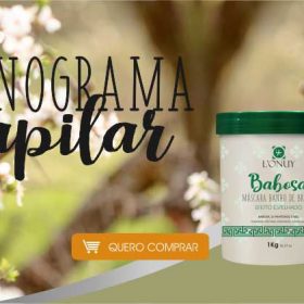 cronograma-capilar-lonuy